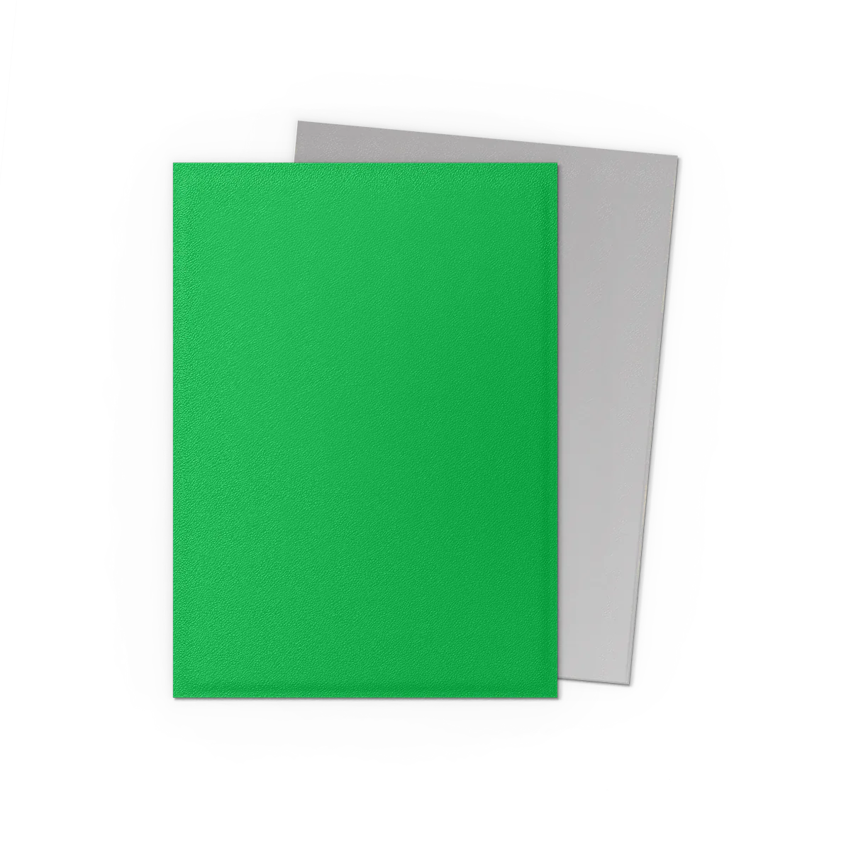 Dragon Shield Dual Matte Standard Sleeves - Apple Green and Silver