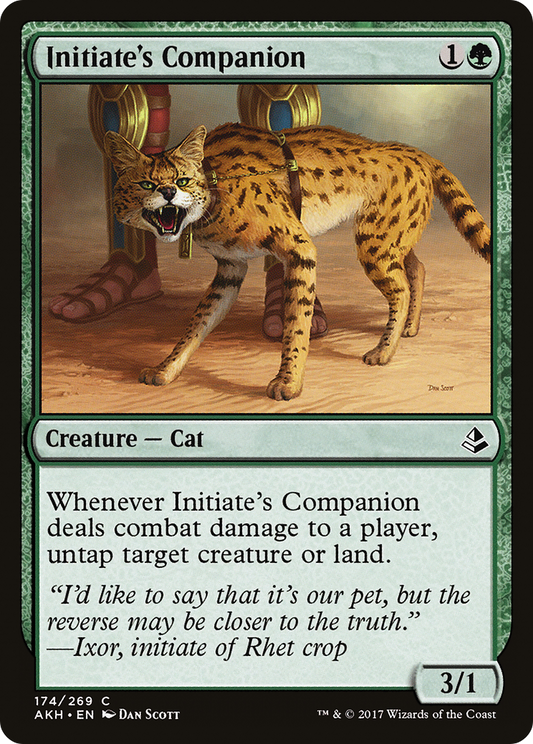 Initiate's Companion (AKH) #174 [EN/N]