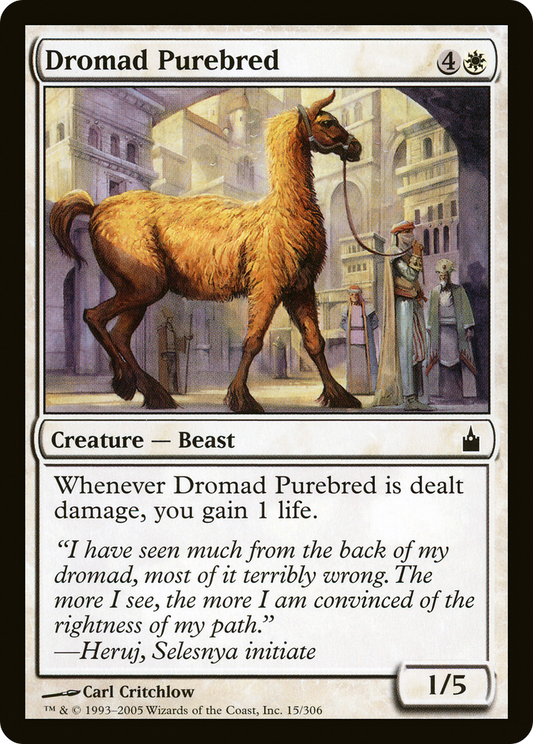 Dromad Purebred (RAV) #15 [EN/N]