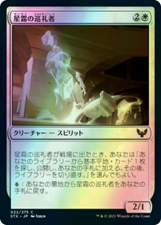 Pilgrim of the Ages (STX) #22 [JA/F]