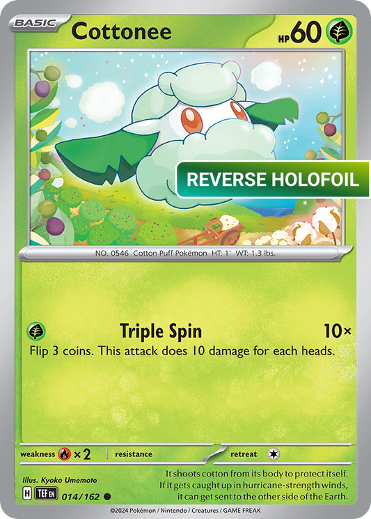 Cottonee (TEF) #14 [EN/R]