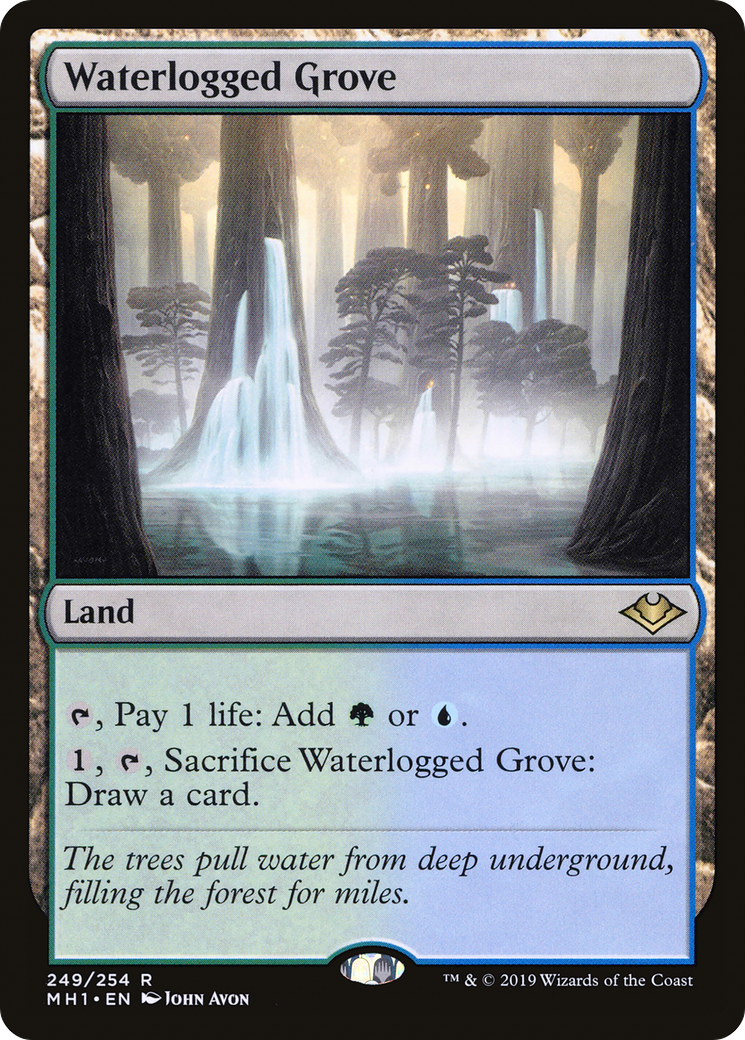 Waterlogged Grove (MH1) #249 [EN/N] s/o