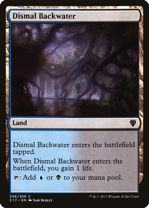 Dismal Backwater (C17) #246 [EN/N]