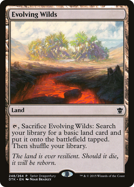 Evolving Wilds (PTKDF) #248 [EN/N]