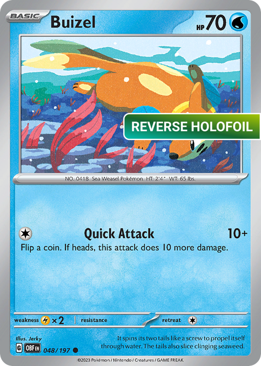 Buizel (OBF) #048 [EN/R]