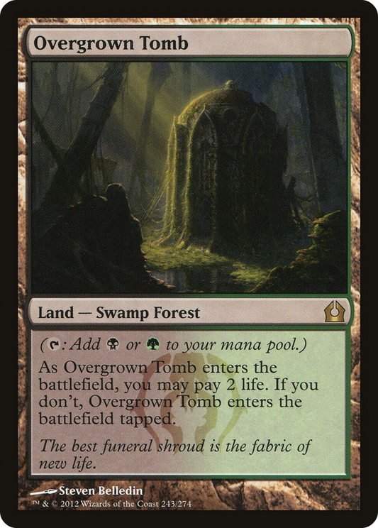 Overgrown Tomb (RTR) #243 [EN/N] s/o