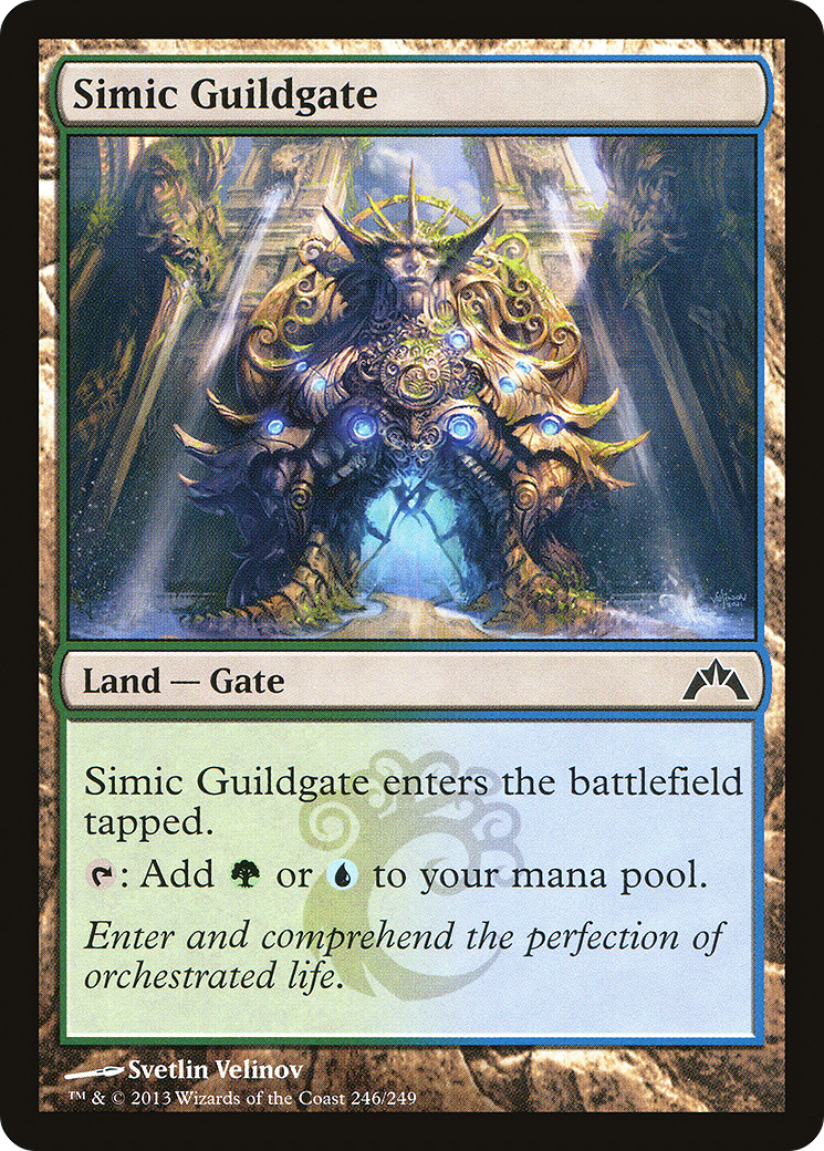 Simic Guildgate (GTC) #246 [EN/N] s/o