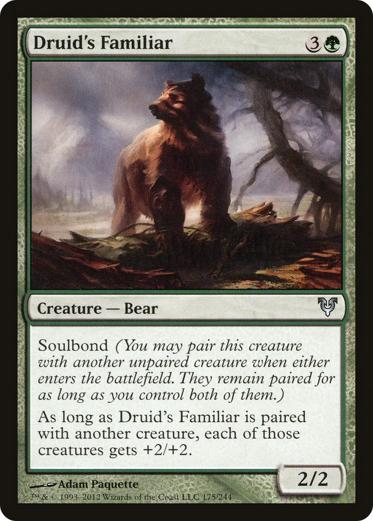 Druid's Familiar (AVR) #175 [EN/N] s/o