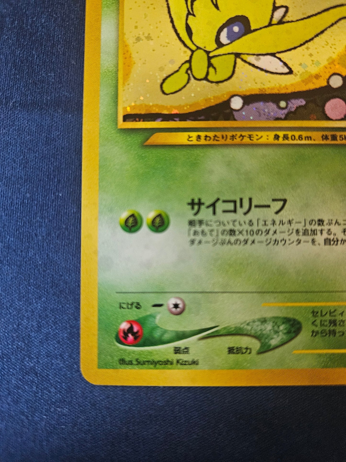 Celebi Holo Neo Premium File 3 Pokemon Card Game Japanese Moderately Played (Copy)
