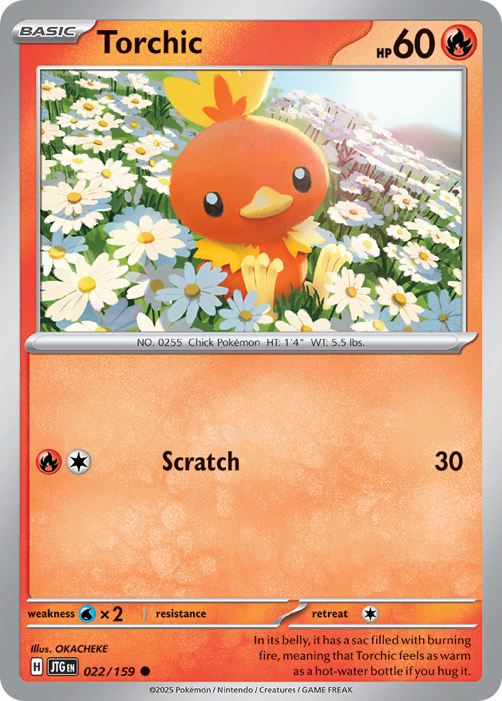 Torchic (JTG) #022 [EN/N] s/o