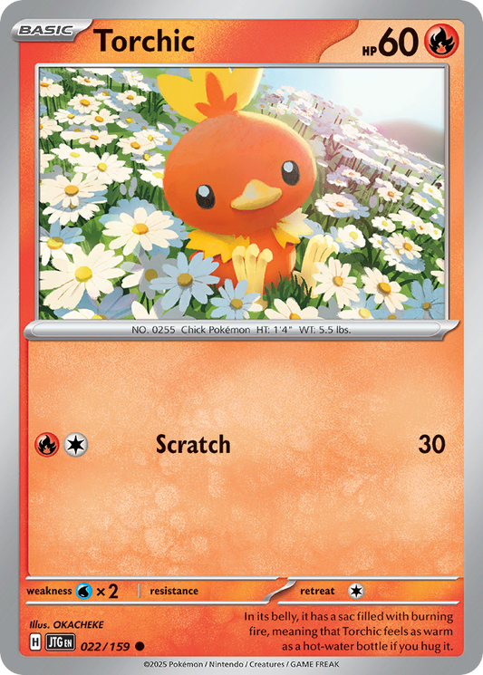 Torchic (JTG) #022 [EN/N] s/o