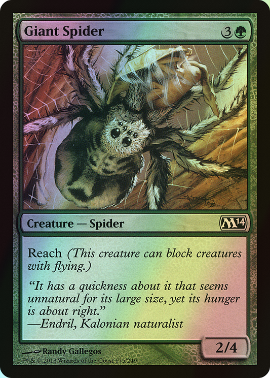 Giant Spider (M14) #175 [EN/F]