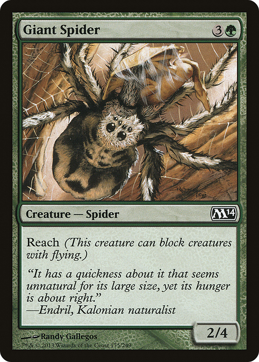 Giant Spider (M14) #175 [EN/N]