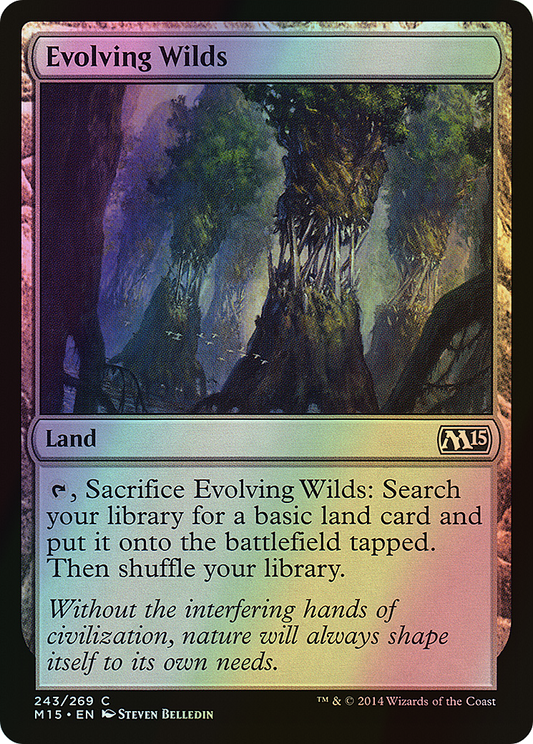 Evolving Wilds (M15) #243 [EN/F] s/o