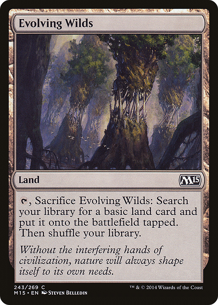 Evolving Wilds (M15) #243 [EN/N]