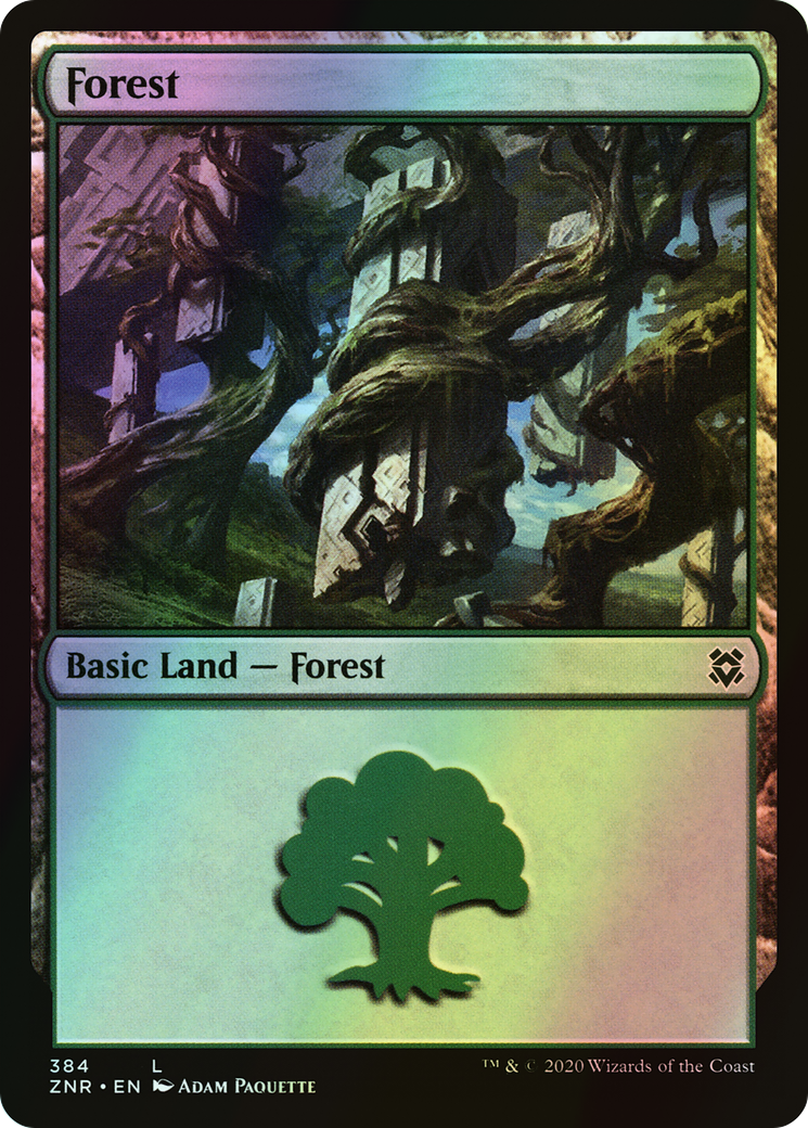 Forest (ZNR) #384 [EN/F]