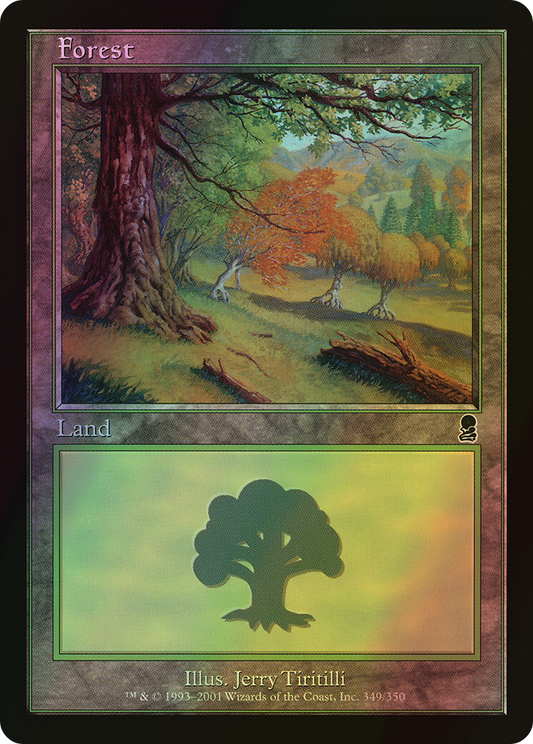 Forest (ODY) #349 [EN/F]