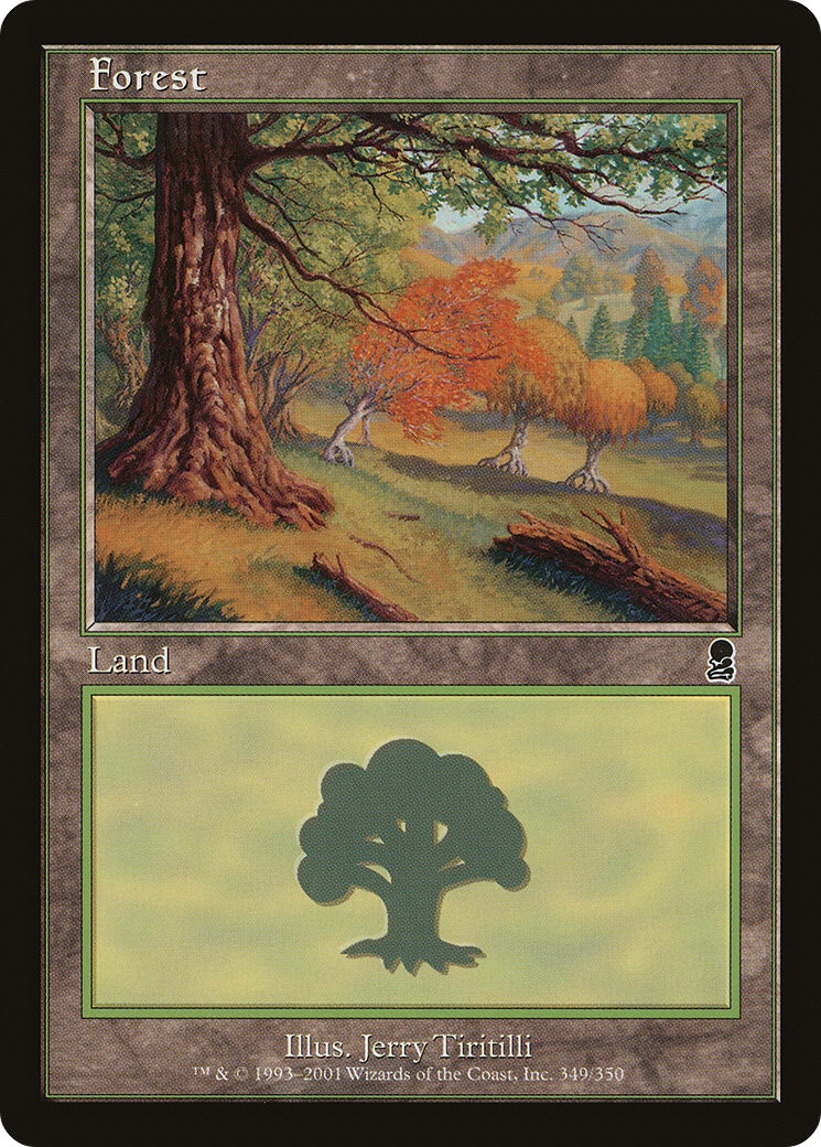 Forest (ODY) #349 [EN/N]