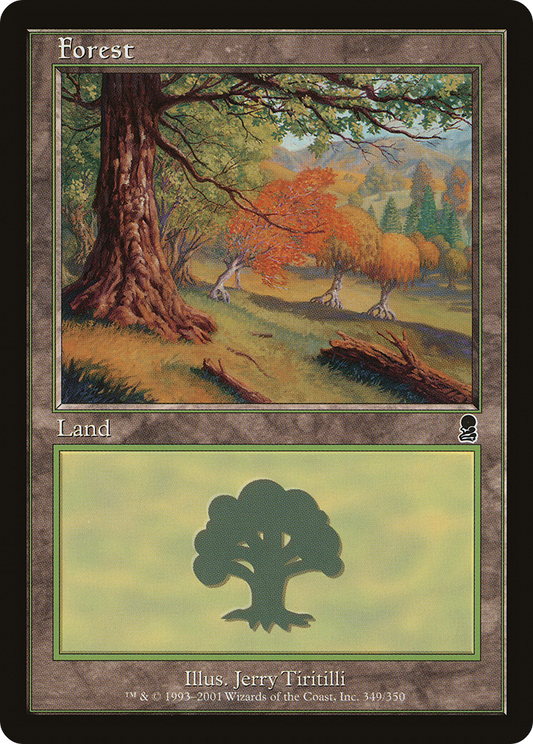 Forest (ODY) #349 [EN/N]