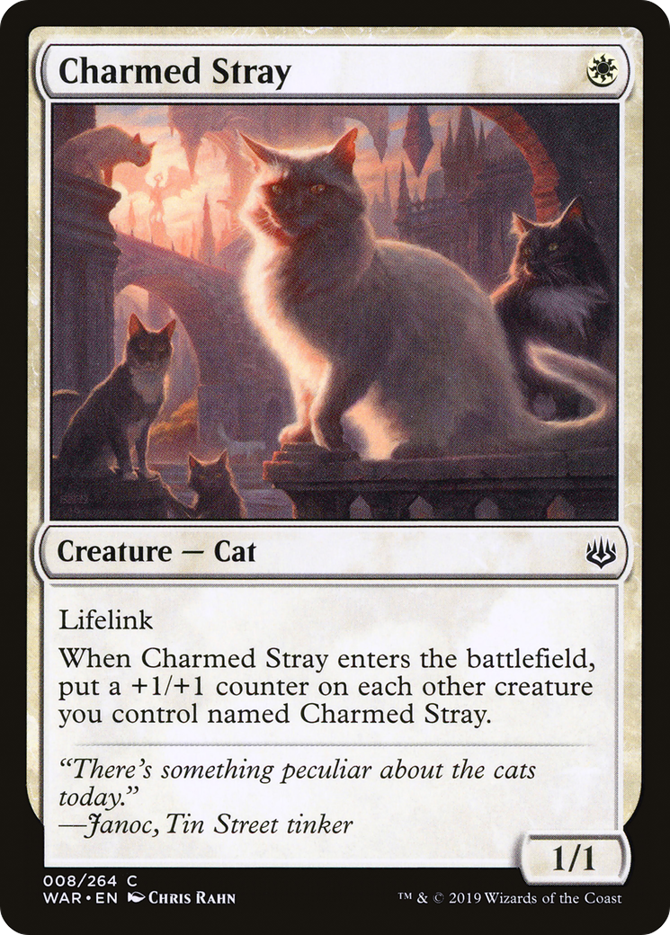 Charmed Stray (WAR) #8 [EN/N]