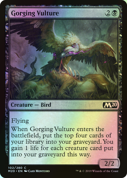 Gorging Vulture (M20) #102 [EN/F]