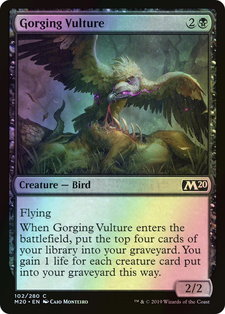 Gorging Vulture (M20) #102 [EN/F]