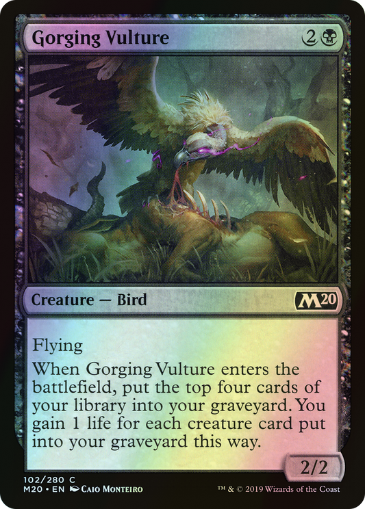 Gorging Vulture (M20) #102 [EN/F]
