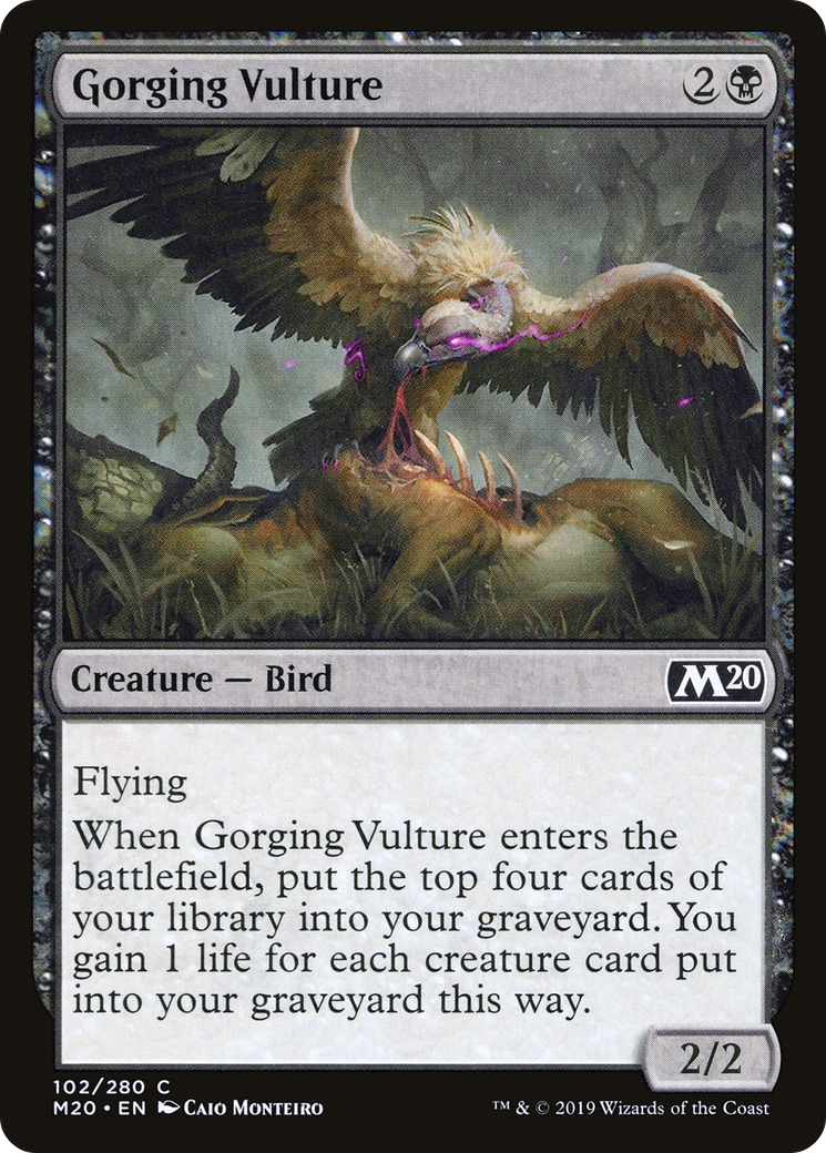 Gorging Vulture (M20) #102 [EN/N]