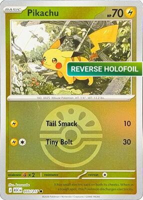 Pikachu (Friend Ball) (ASC) #055_V2 [EN/R]