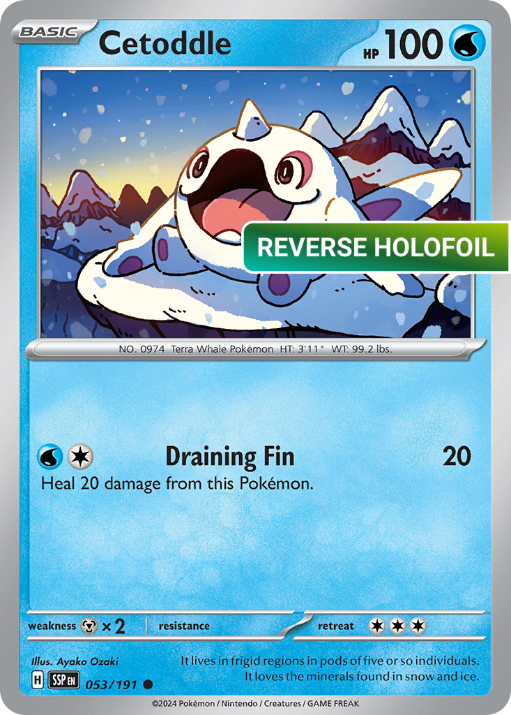 Cetoddle (SSP) #53 [EN/R]