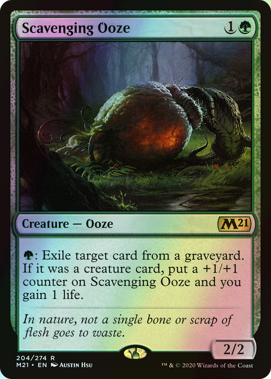 Scavenging Ooze (M21) #204 [EN/F] s/o