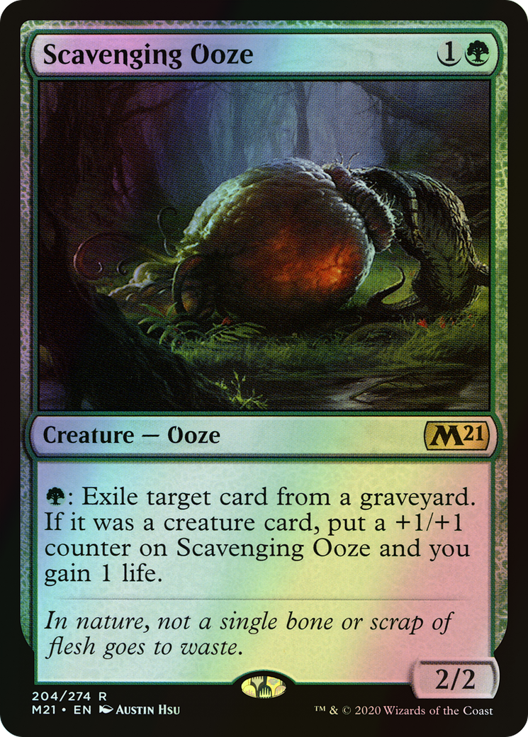 Scavenging Ooze (M21) #204 [EN/F] s/o