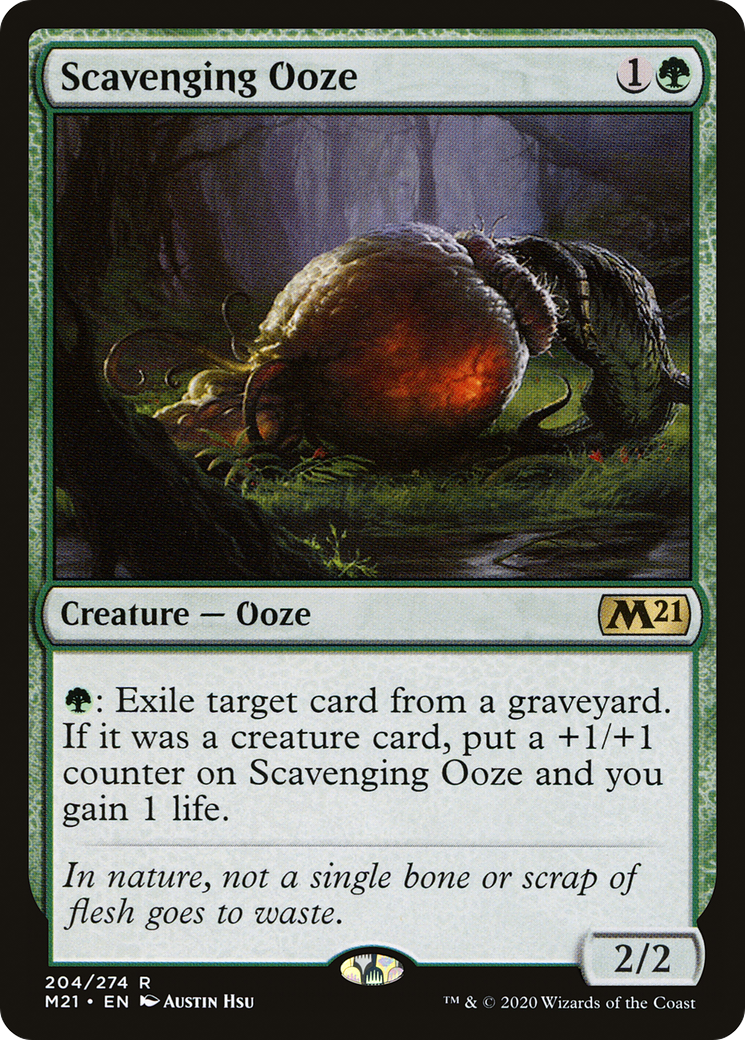 Scavenging Ooze (M21) #204 [EN/N] s/o