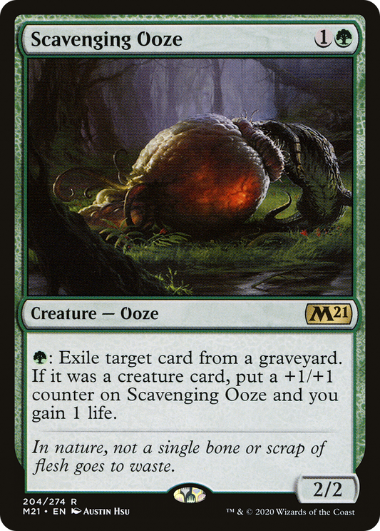 Scavenging Ooze (M21) #204 [EN/N] s/o