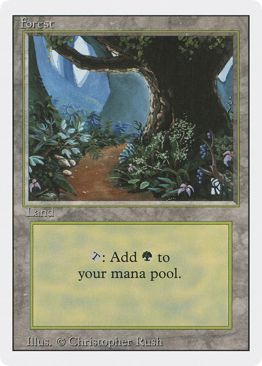 Forest (3ED) #305 [EN/N]