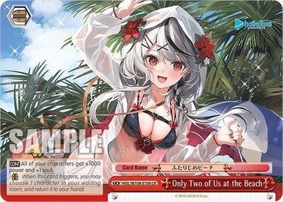 Only Two of Us at the Beach (HOL) #HOL/W104-E106 [EN]