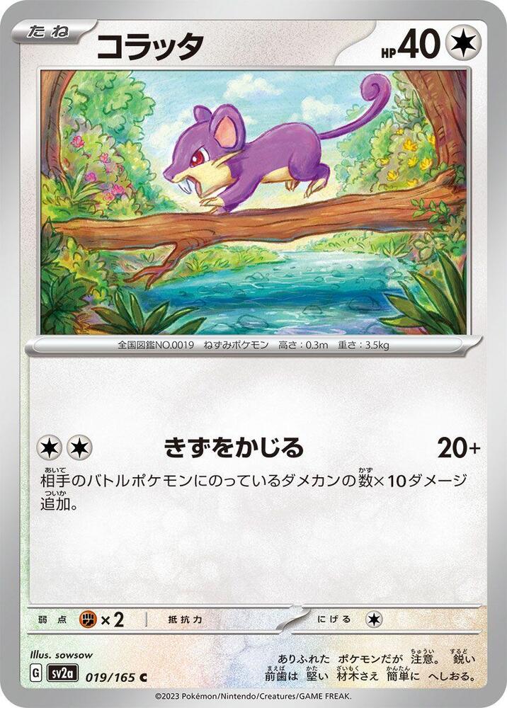 Rattata (SV2A) #019_V1 [JA/N]
