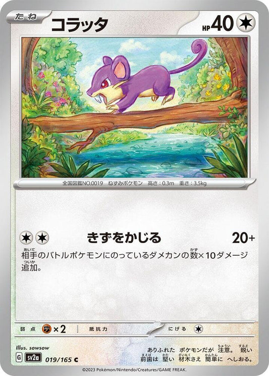 Rattata (SV2A) #019_V1 [JA/N]