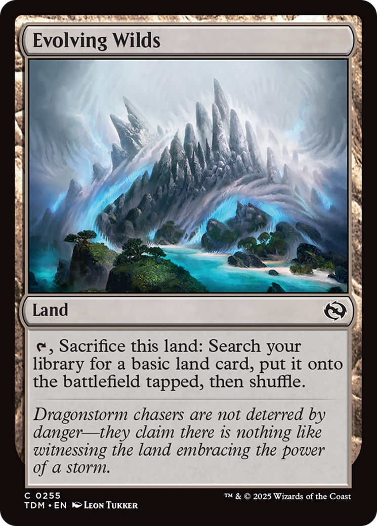 Evolving Wilds (TDM) #255 [EN/N]