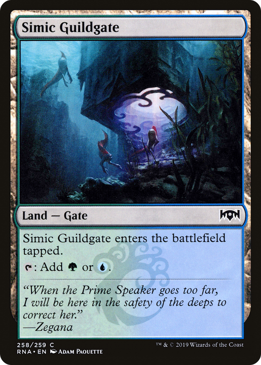 Simic Guildgate (RNA) #258 [EN/N] s/o