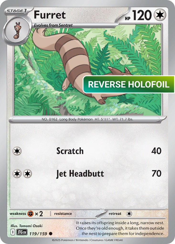 Furret - 119/159 (JTG) #119 [EN/R] s/o