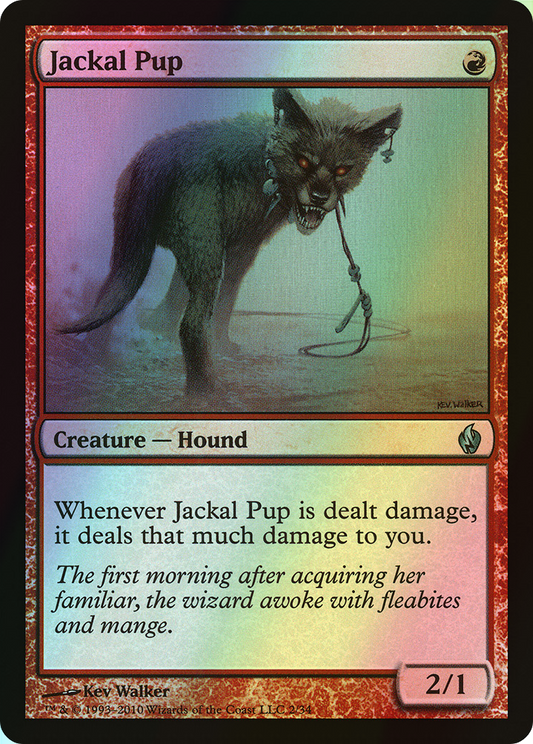 Jackal Pup (PD2) #2 [EN/F]