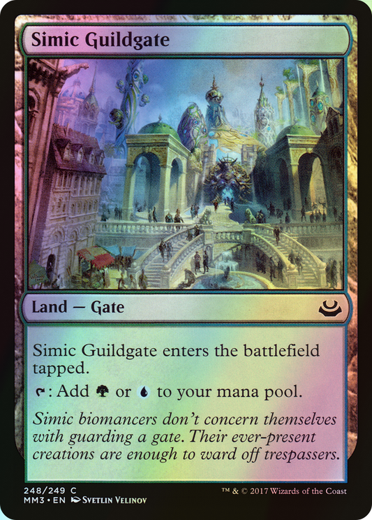 Simic Guildgate (MM3) #248 [EN/F] s/o