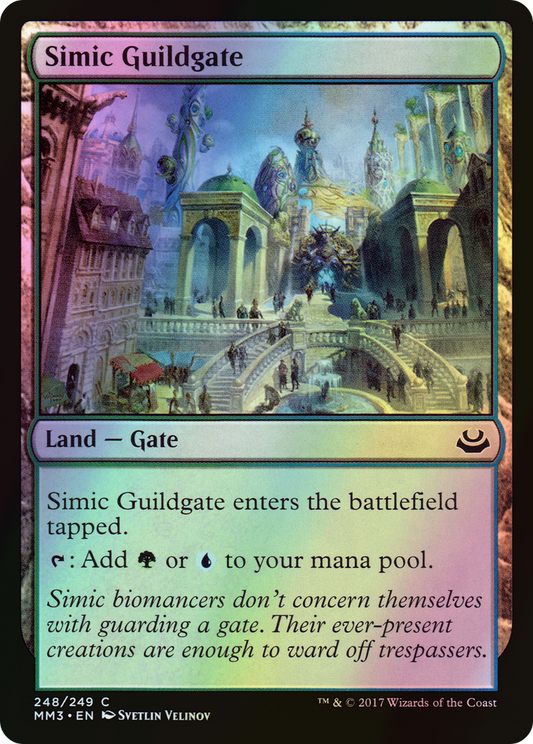 Simic Guildgate (MM3) #248 [EN/F] s/o