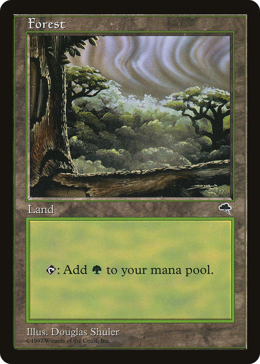 Forest (TMP) #349 [EN/N]