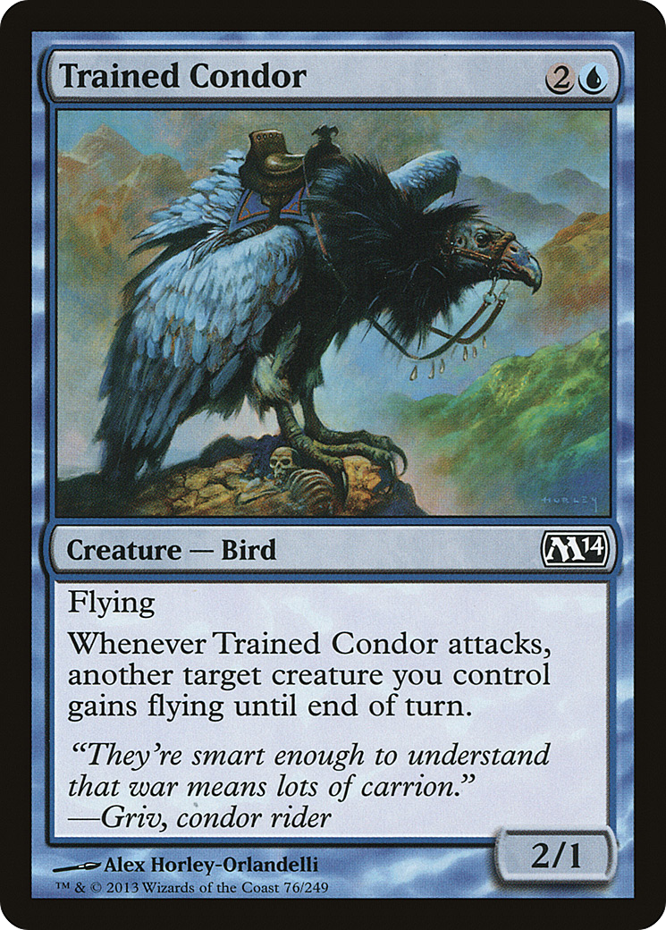 Trained Condor (M14) #76 [EN/N]