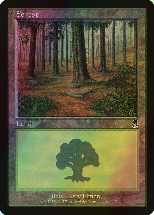 Forest (ODY) #347 [EN/F]