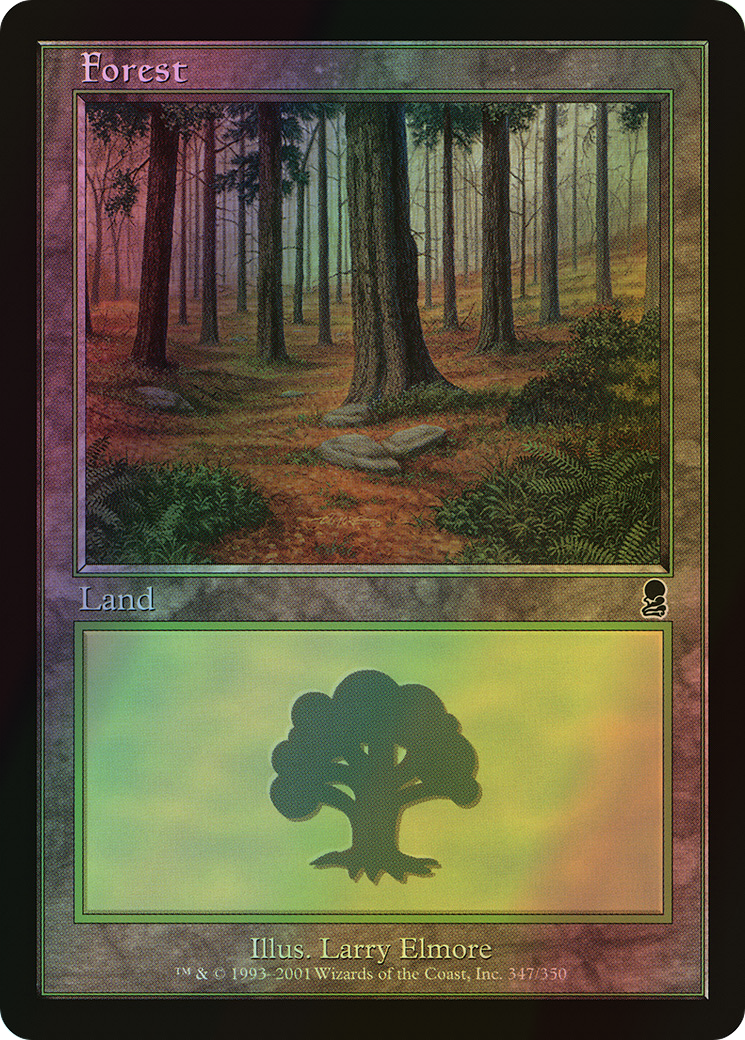 Forest (ODY) #347 [EN/F]