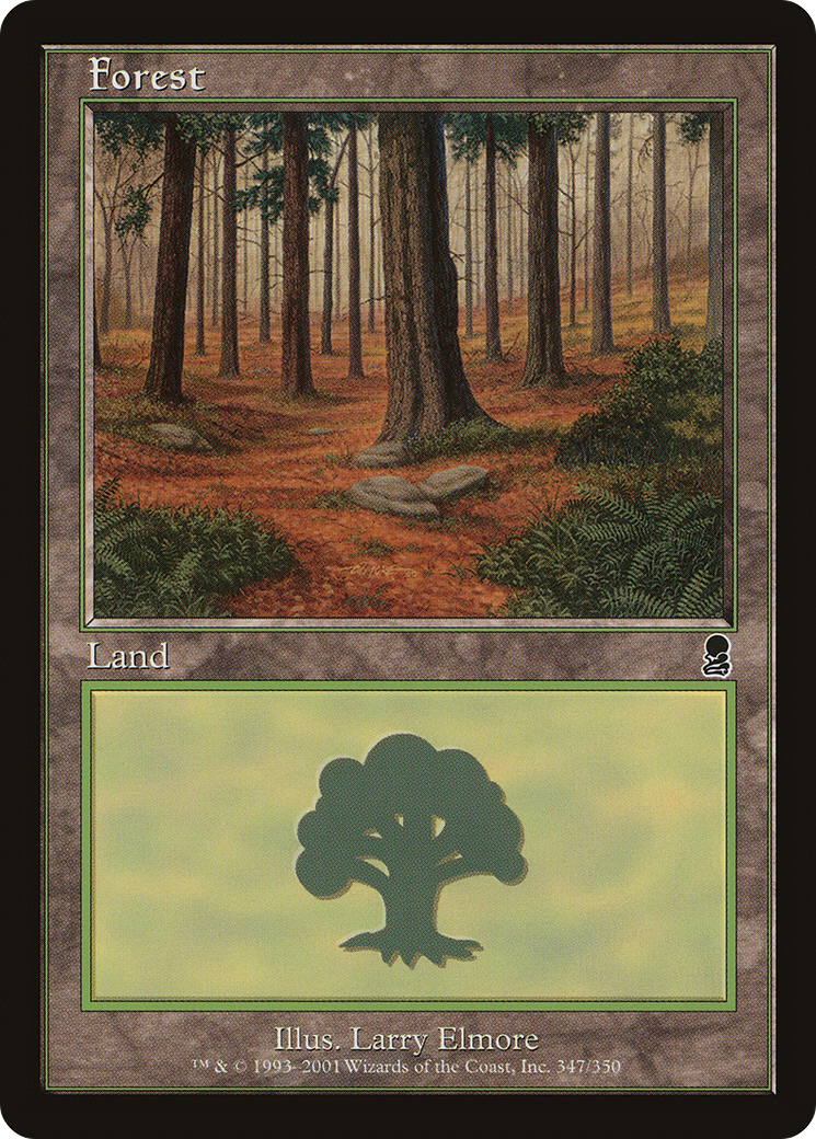 Forest (ODY) #347 [EN/N]