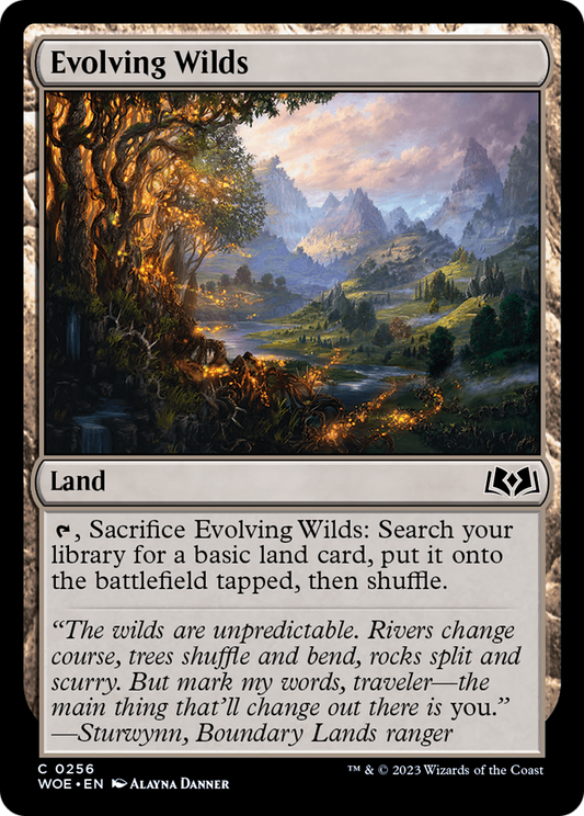 Evolving Wilds (WOE) #256 [EN/N] s/o